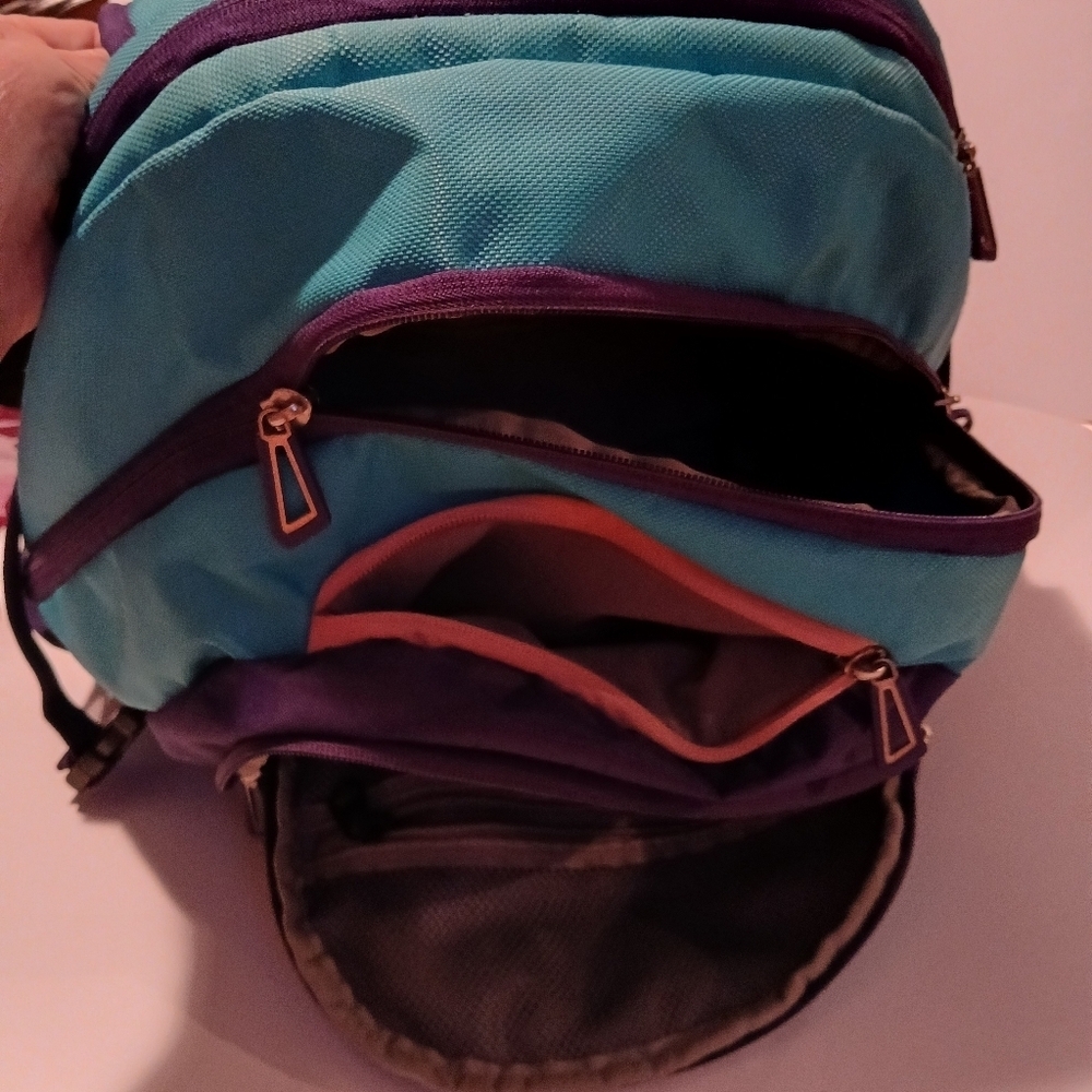 Magellan Outdoors Blue and Purple Backpack with Structured Design. Very Nice!! - Picture 5 of 12